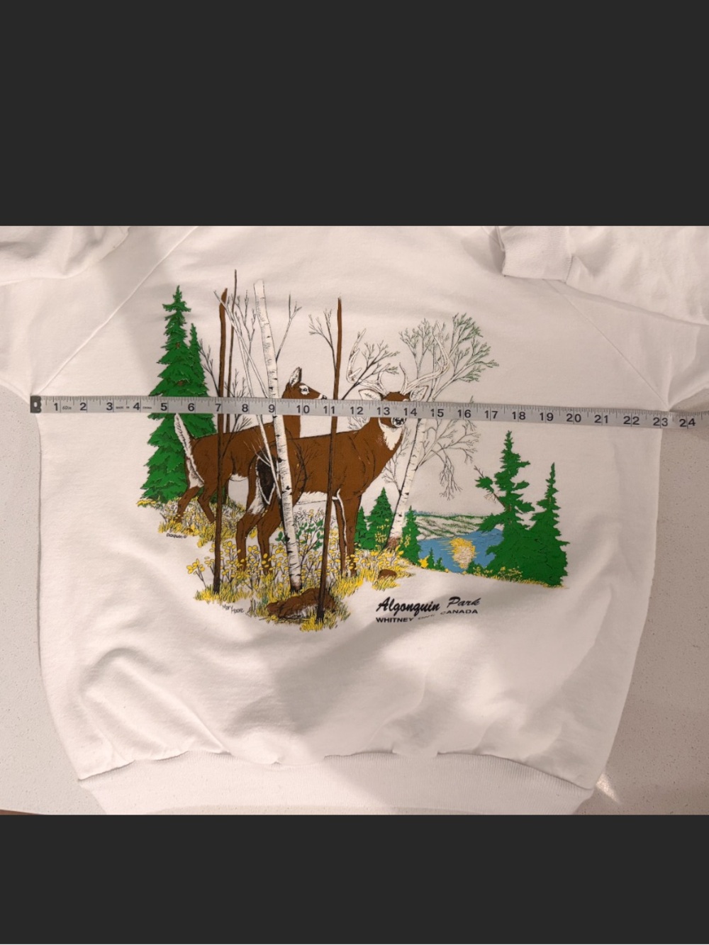 Vtg Algonquin Park Ontario Deer Hoodie M White Daquin Cottagecore Cabincore - Picture 6 of 10
